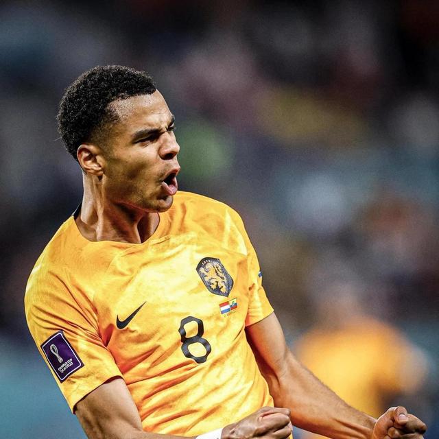 体育新星突围夺金,令人瞩目 体育新星突围夺金,令人瞩目